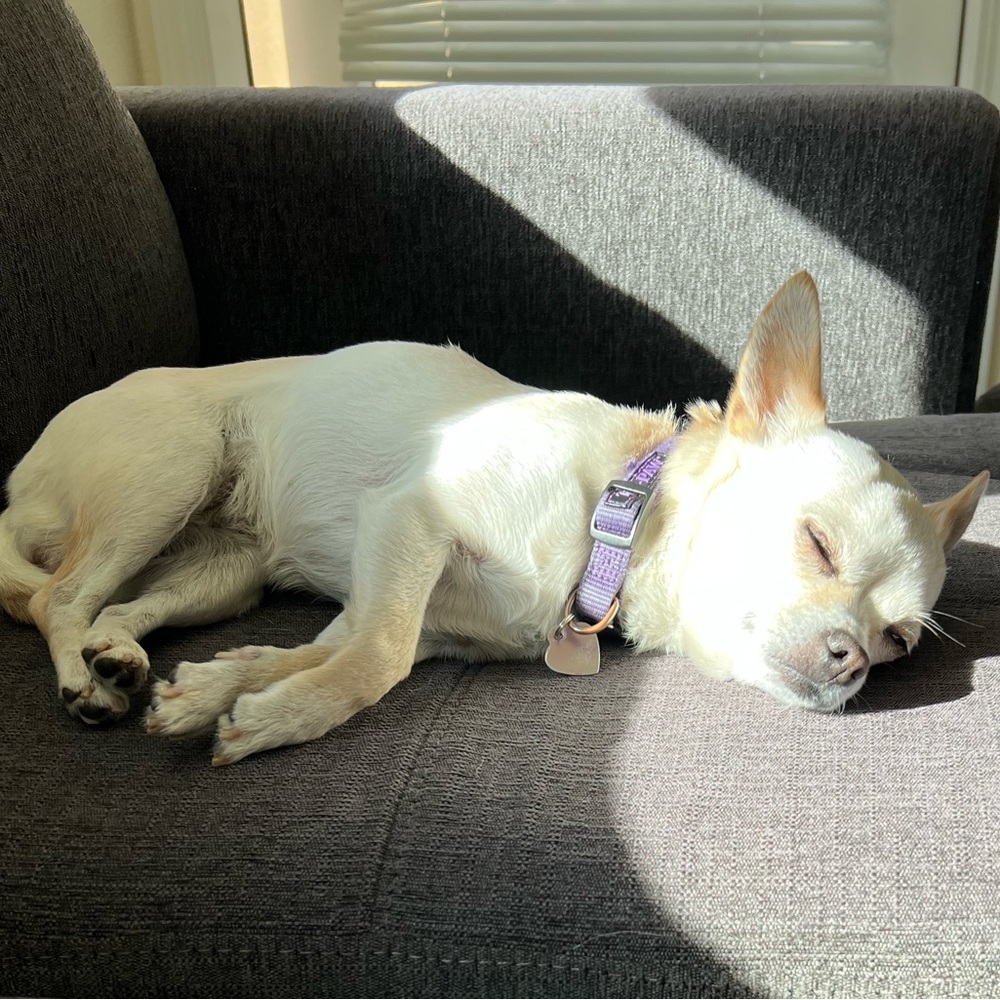 Meet your Posher, Leticia